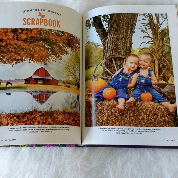 Book: A Year in the Country 2020 - Picture 8 of 14